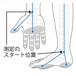 ITO-InBody370＋　図7